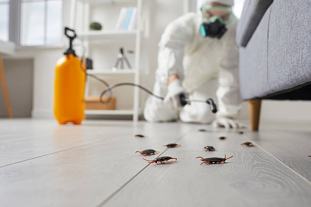 Trusted Cockroach Control service in Sam Rayburn, TX - Nex Pest Control